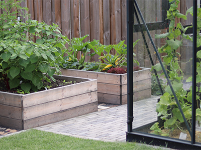 Gemüsebeete in einem gepflegten Garten